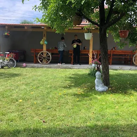 Homestay Casa Barza Orastie